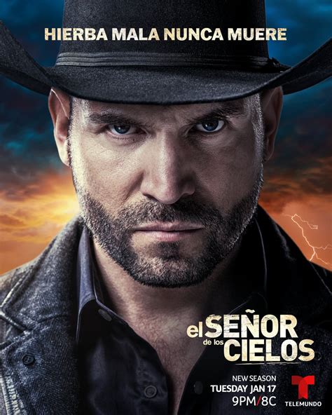 Watch El Señor de los Cielos Season 8 Streaming。